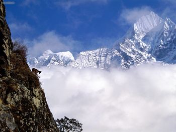 Mountain Goat Mount Thamserku Nepal screenshot