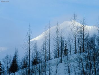 Mountain Peak Rising Through Morning Fog, Glacier National Park, Canada screenshot