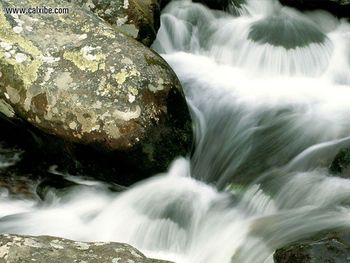 Mountain Stream Great Smoky Mountains National Park Tennessee screenshot