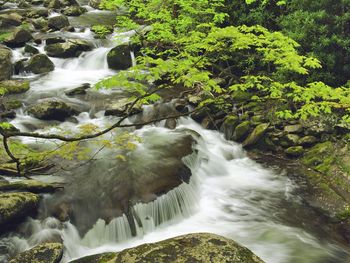 Mountain Stream In Spring, Great Smoky Mountains National Pa screenshot
