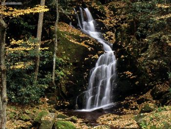 Mouse Creek Falls Great Smoky Mountains North Carolina screenshot