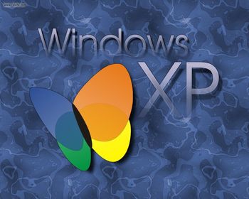 MSN Windows XP screenshot