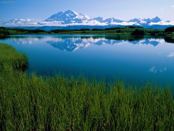 Mt Mckinley, Denali National Park, Alaska screenshot