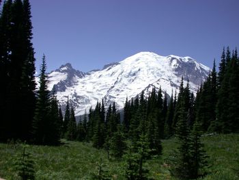 Mt. Rainier screenshot