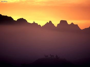 Mule Deer At Sunrise Badlands South Dakota screenshot