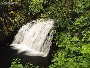 Multnomah Falls Columbia Gorge Oregon screenshot