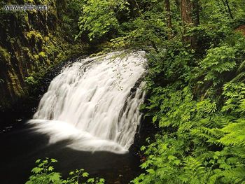 Multnomah Falls Columbia Gorge Oregon screenshot