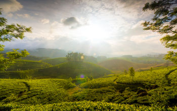 Munnar Hills Kerala India screenshot