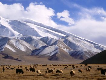 Muztagh Tower Peak, Xinjiang Province, China screenshot