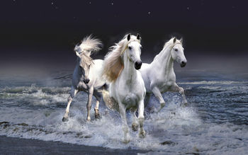Mystic Horses screenshot