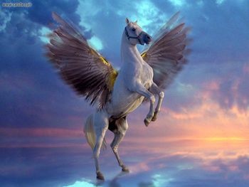 Mystical Pegasus screenshot
