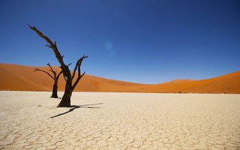 Namib Coastal Desert 4K screenshot