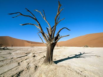 Namib Naukluft Park, Namib Desert, Namibia, Africa screenshot