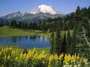 Natural Beauty, Mount Rainier National Park, Washington screenshot