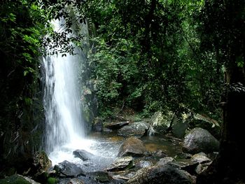 Natural Shower screenshot