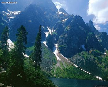 Nature 8208 screenshot