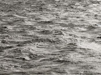 Nature Water screenshot