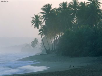 New Light On A Misty Morn Puerto Rico screenshot