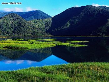 New Zealand Landscape screenshot