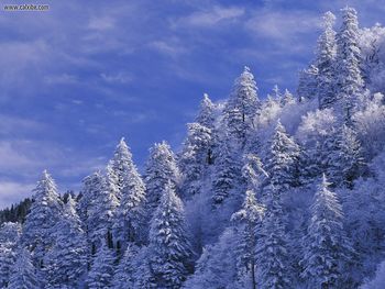 Newfound Gap Great Smoky Mountains National Park screenshot