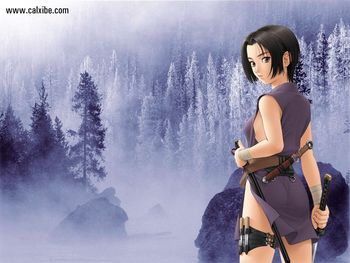 Ninja Girl screenshot