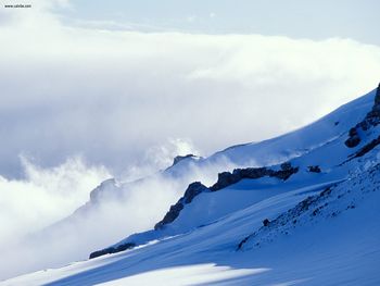 Nisqually Glacier On Mount Rainier Washington screenshot