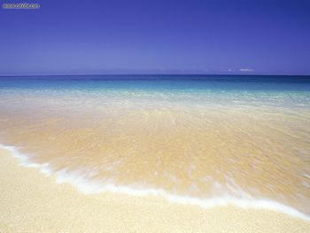 North Shore Beach Oahu Hawaii screenshot