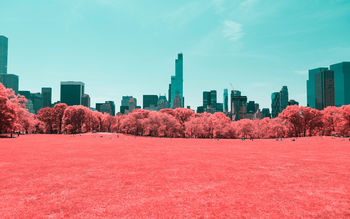 NYC Central Park Infrared 4K screenshot