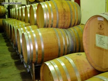 Oak Wine Barrels screenshot
