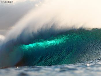 Ocean Spray Hawaii screenshot