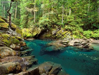 Ohanapecosh River Mt Rainier National Park Washington screenshot