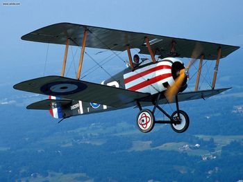 Old Rhinebeck Sopwith Camel Replica screenshot