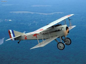 Old Rhinebeck Spad VII Replica screenshot