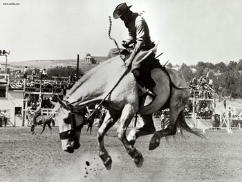 Old Time Rodeo screenshot