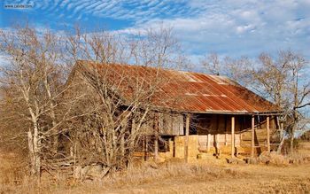 Oldleander Barn screenshot