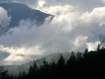 Olympic Mountains And Clouds Washington screenshot