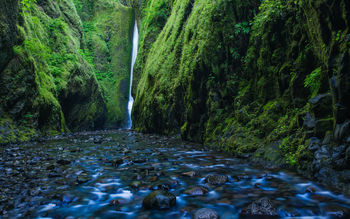 Oneonta Gorge Waterfall Oregon screenshot