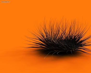 Orange Chaos screenshot
