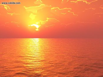 Orange Sunset screenshot