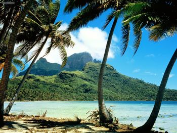 Otemanu Peak Bora Bora French Polynesia screenshot