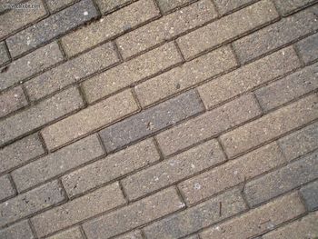 Other The Floor screenshot