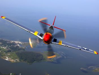 P-51 Mustang screenshot