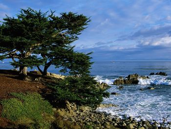 Pacific Grove Coastline, California screenshot