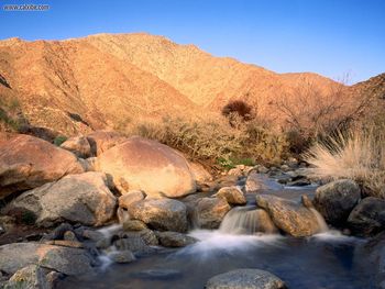 Palm Canyon Creek Borrego Palm Canyon San Ysidro Mountains California screenshot