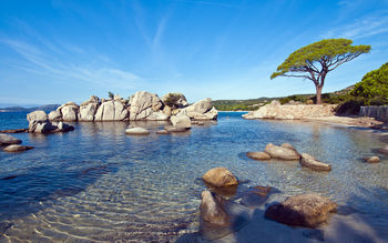 Palombaggia Beach Sunny screenshot