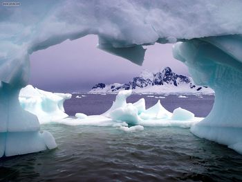 Paradise Bay Antarctica screenshot