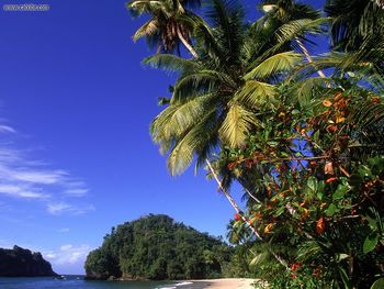 Paria Beach Trinidad screenshot