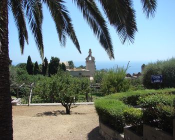 Park On An Island Of Capri screenshot