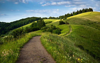 Path Green Fields screenshot