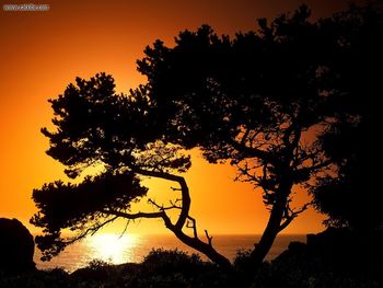 Patricks Point State Park At Sunset Near Eureka California screenshot